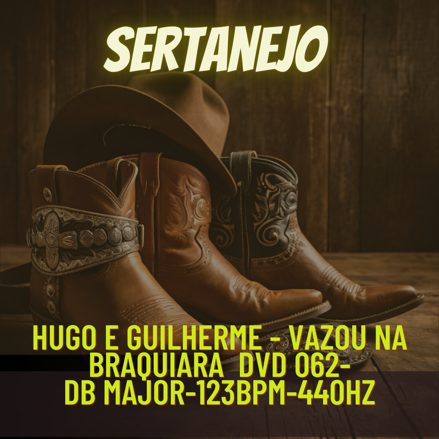 Hugo e Guilherme - Vazou na Braquiara DVD 062-Db major-123bpm-440hz